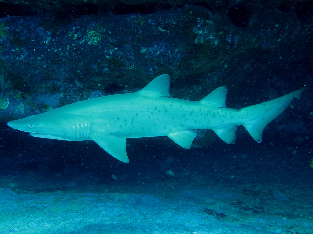 d52c9280-49d9-4acd-aa2a-ed846d2c7476