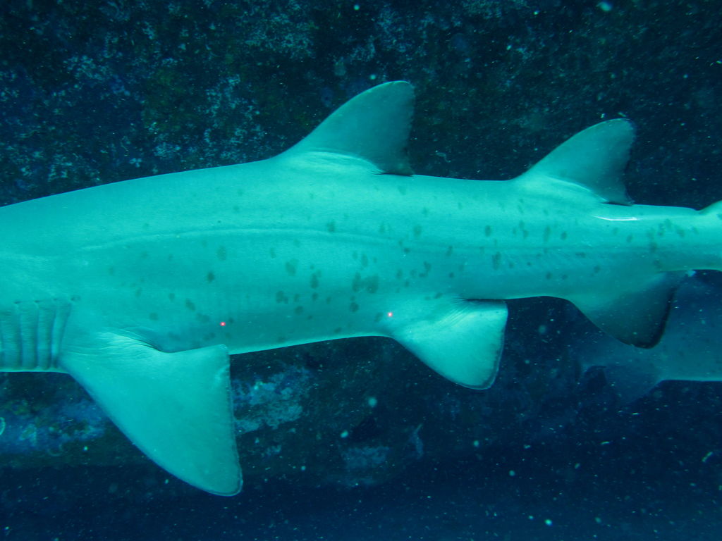 2a6d447e-8634-40f2-a0c8-0cc3d22f2172