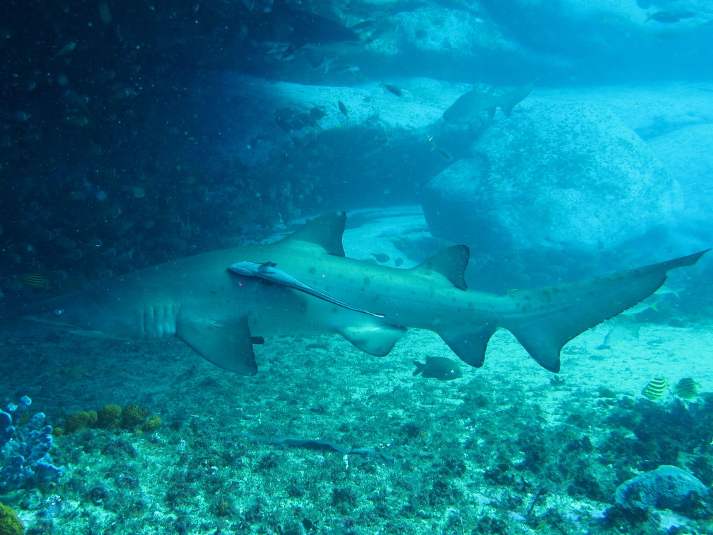 22f84c6f-f678-4468-a565-017c0fd67eb4