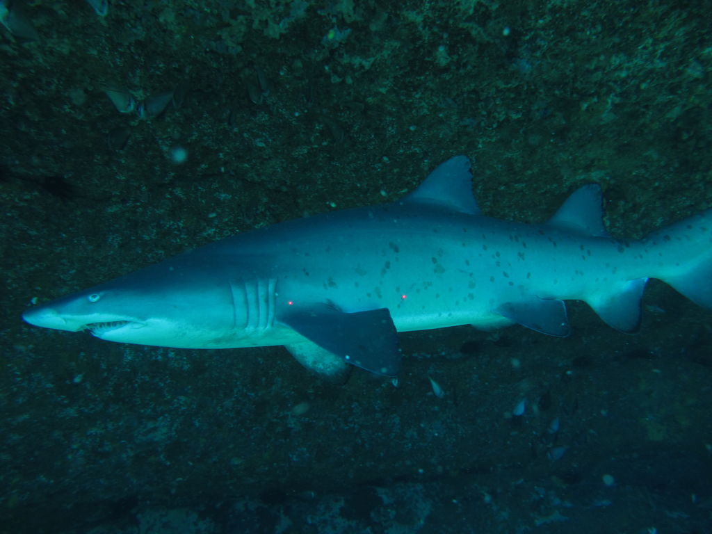 c4bf511c-9291-4548-bfea-ccb341598be0