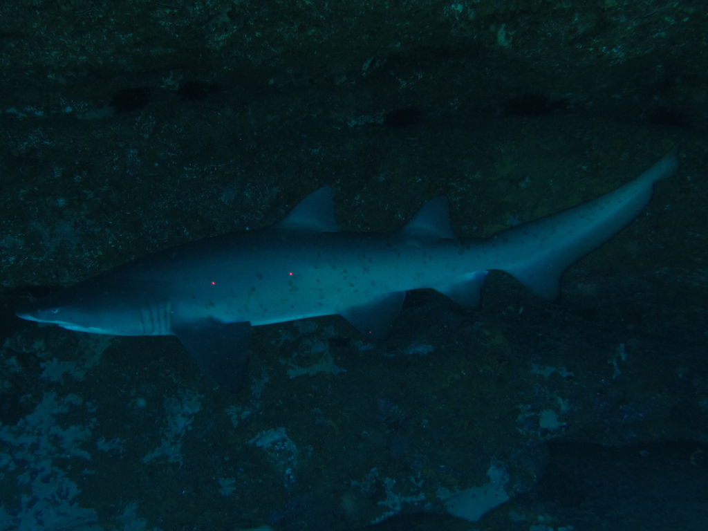 c4bf511c-9291-4548-bfea-ccb341598be0