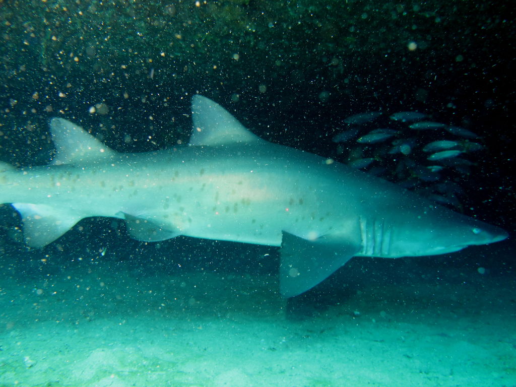 2eedc3f3-fc55-4c5d-9ec1-366b596368d5