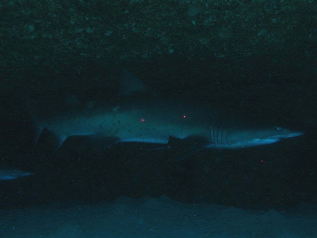 026832fa-2120-4b0f-a498-829b9e29e686