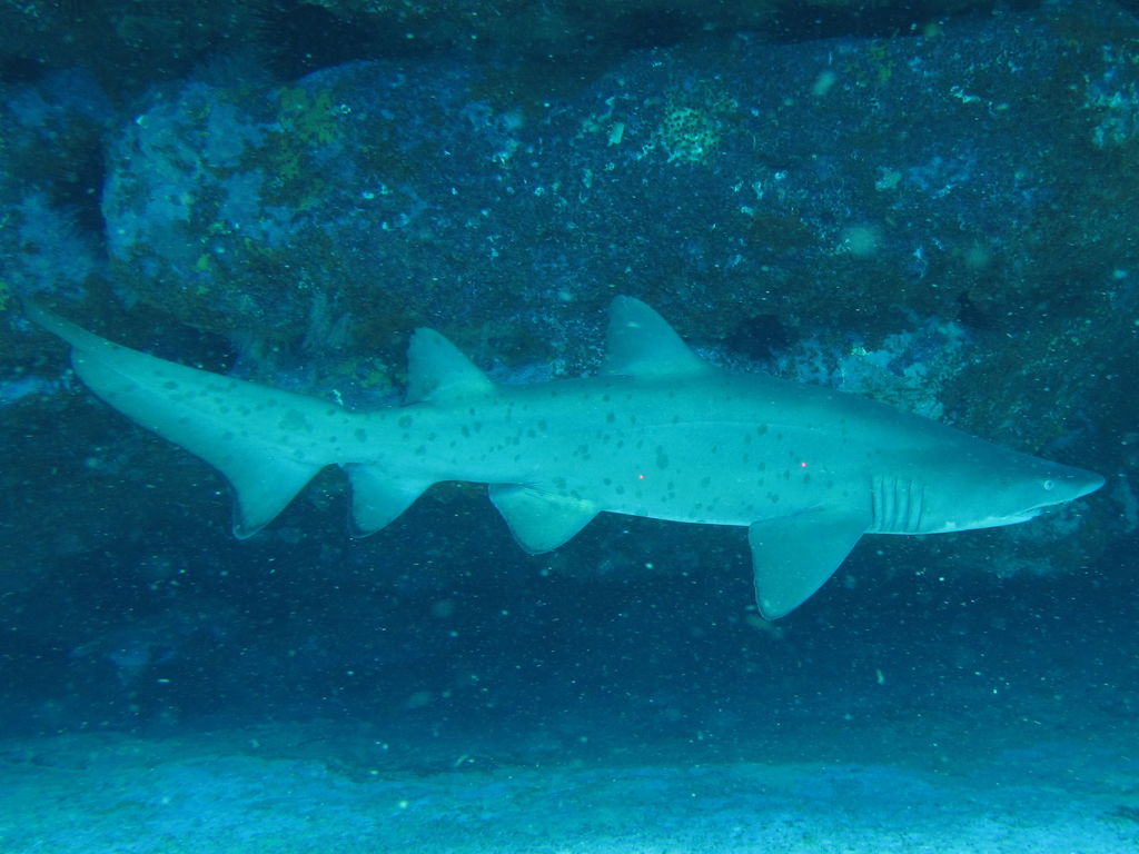 382f994f-a4ca-47ff-8436-51441d23d83f