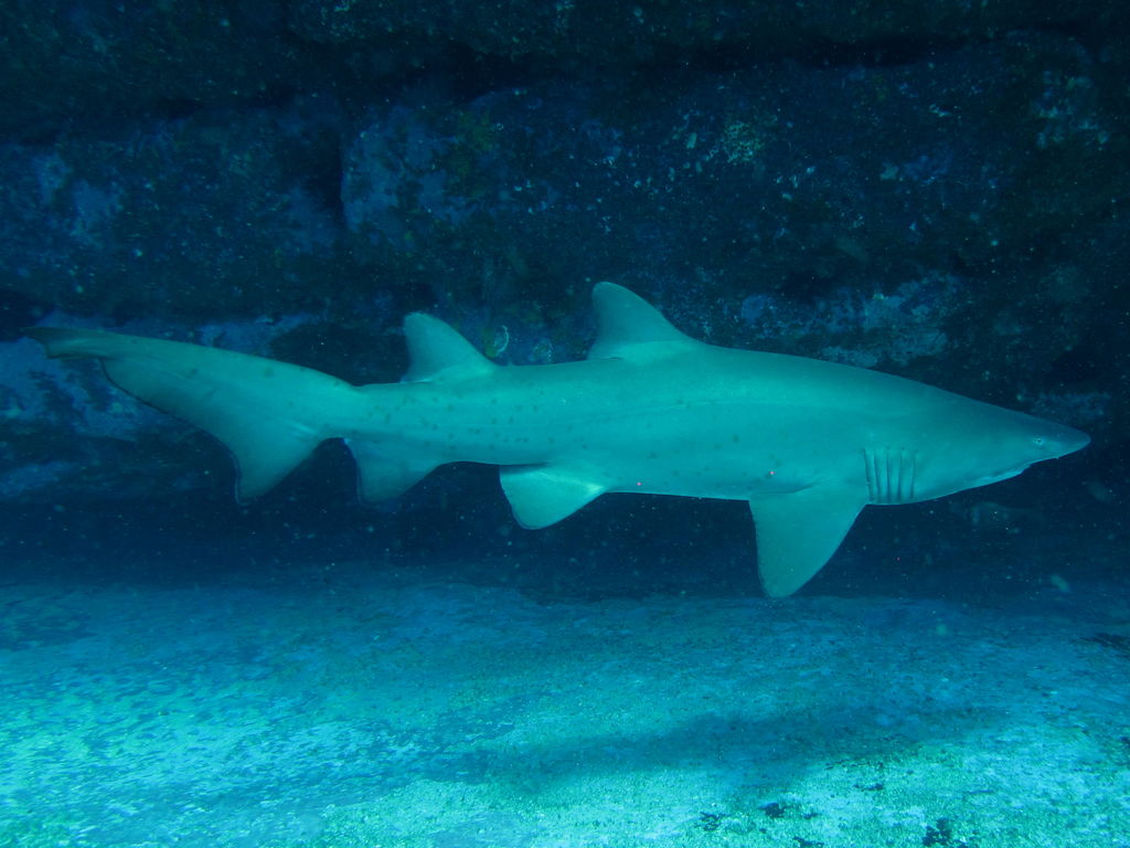 3d4a659b-66ae-4d73-b9bf-4a0c3b753f03