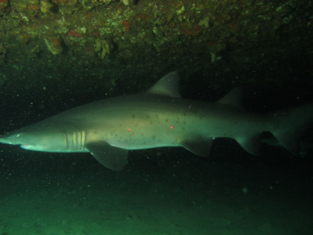 466658db-06a9-4429-aa3b-327b82aebdf8