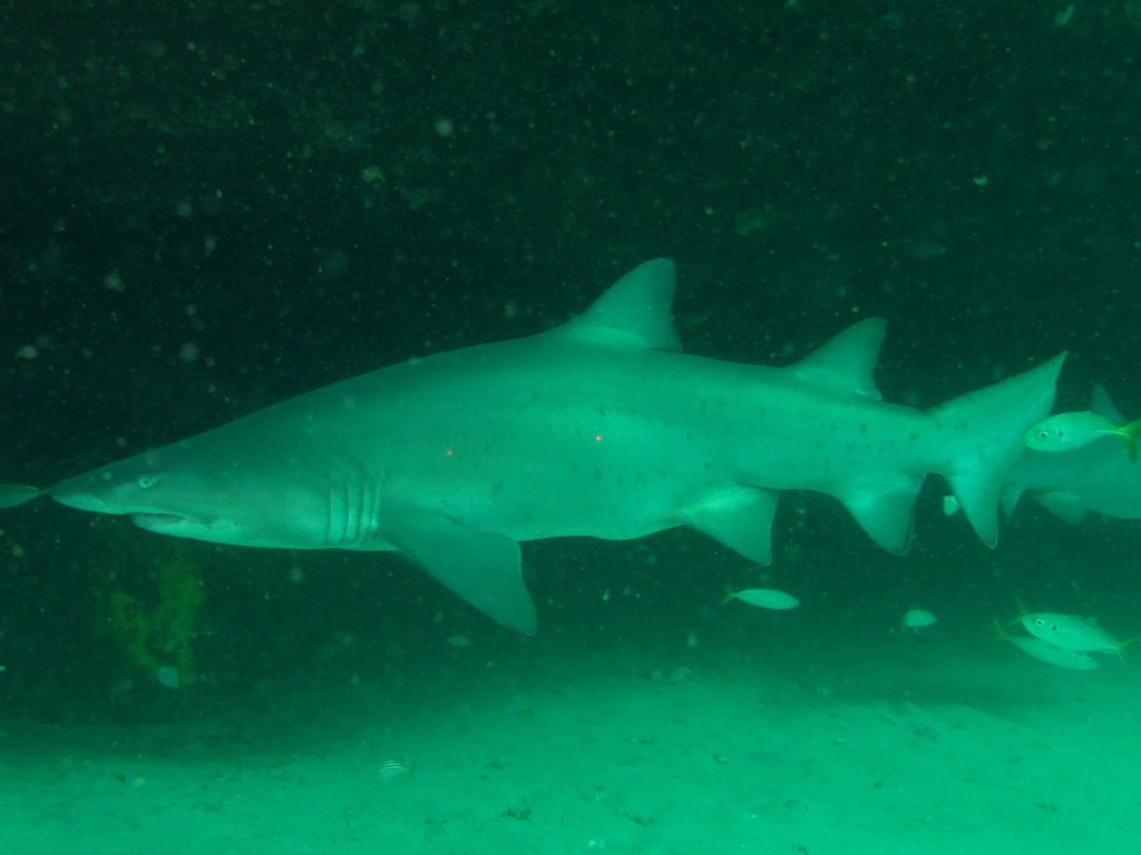 f1fc0a43-48c7-4118-9e28-92b380e39ae4