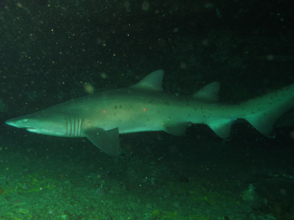 e5ae93f6-fb1a-4709-873c-376aa1edd592