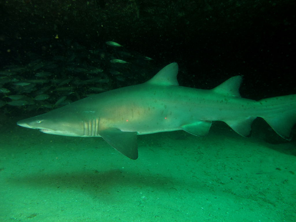 a307d789-5abf-488d-b3bb-40ba9b9c0ab5