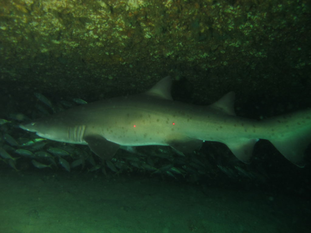 466658db-06a9-4429-aa3b-327b82aebdf8