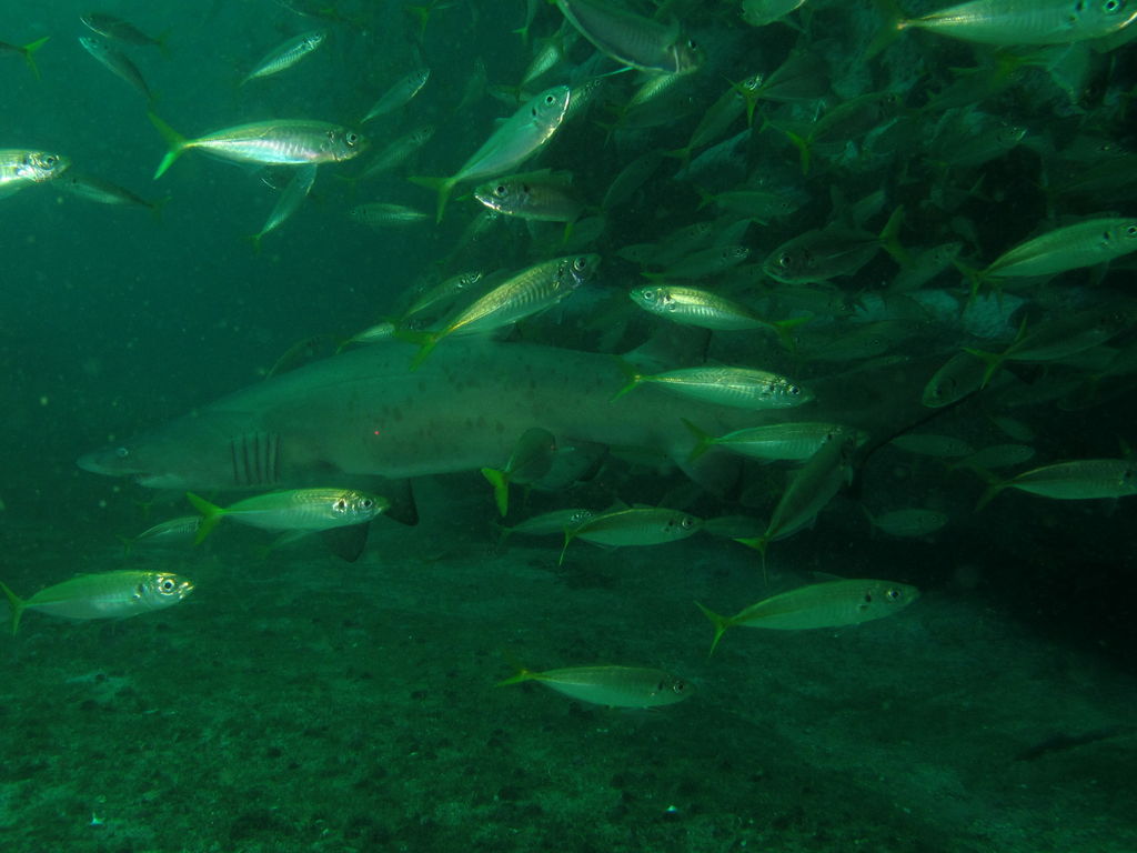 8039fd66-240e-422f-9167-941944284314