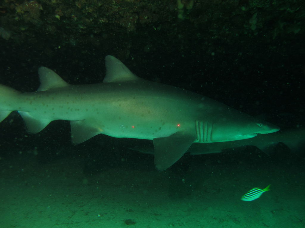 3d4a659b-66ae-4d73-b9bf-4a0c3b753f03