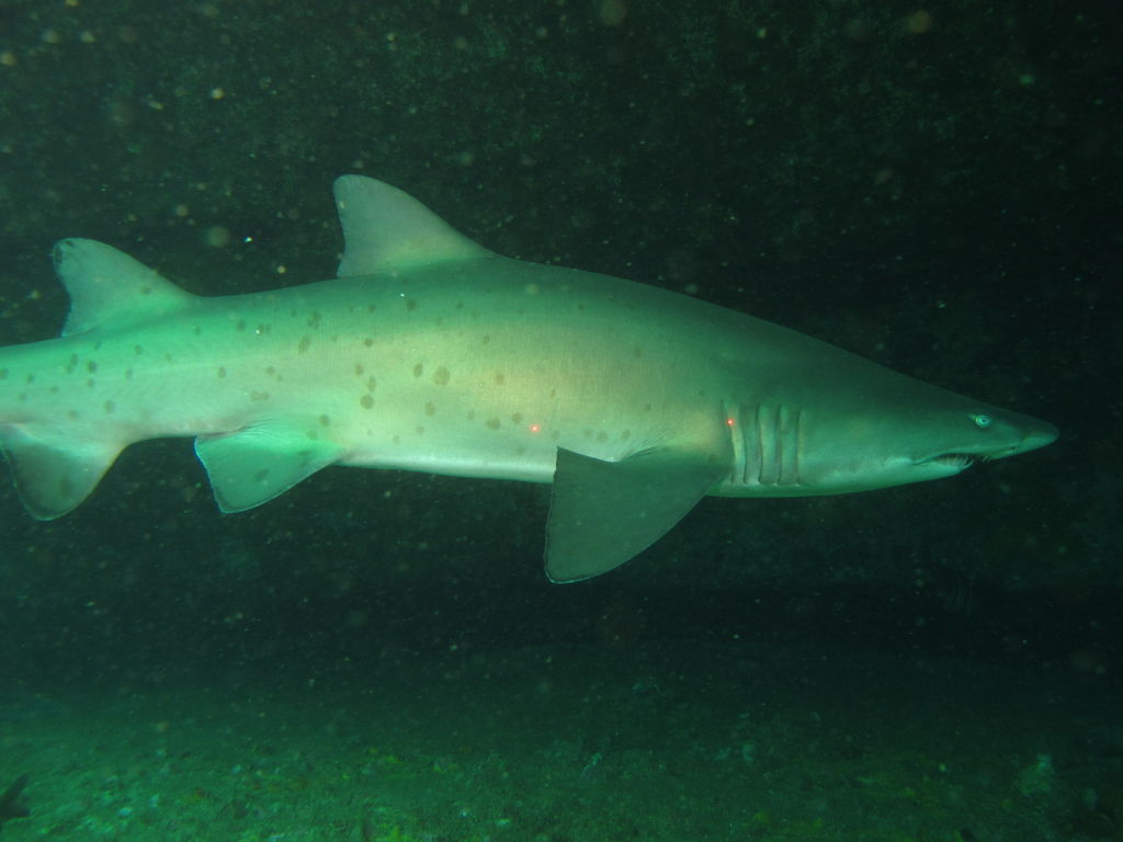 61eb053d-30cd-479e-9424-d000ef23dd8a