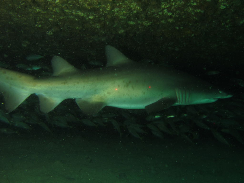 93add495-f06e-4bff-aae5-66a6b03d52ac