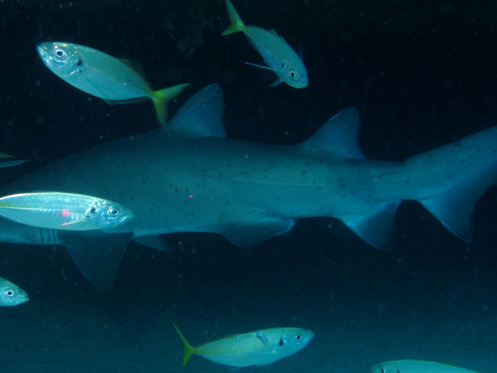 893168b3-33a9-4489-84b0-33bc77b0a91e