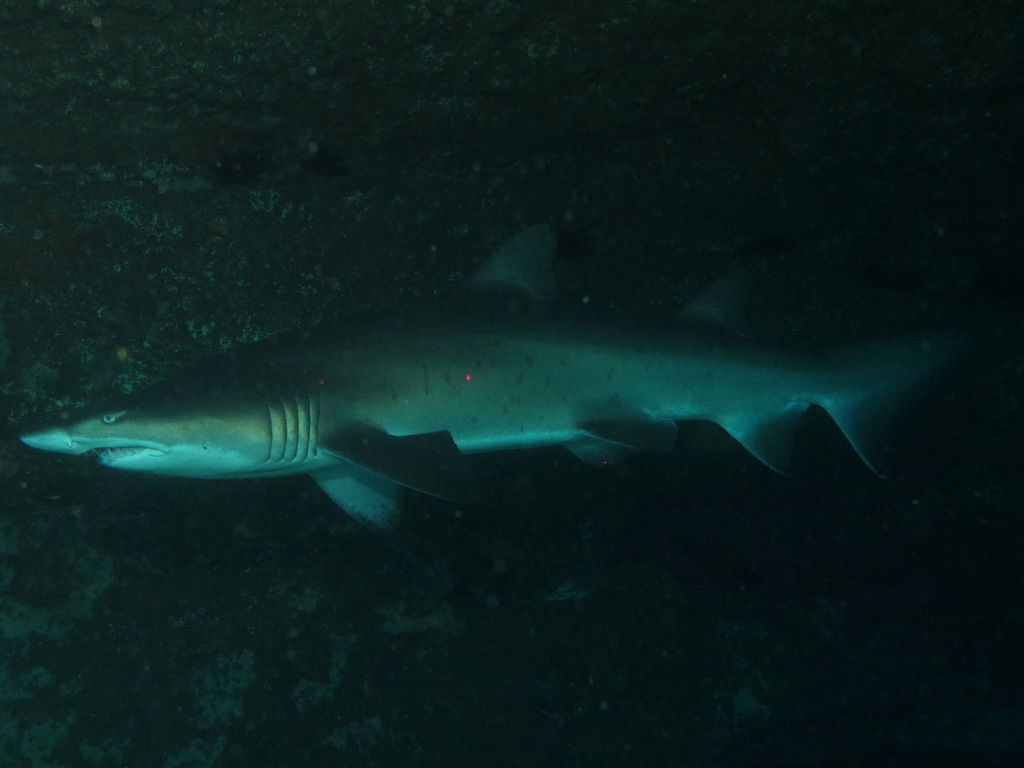 a307d789-5abf-488d-b3bb-40ba9b9c0ab5