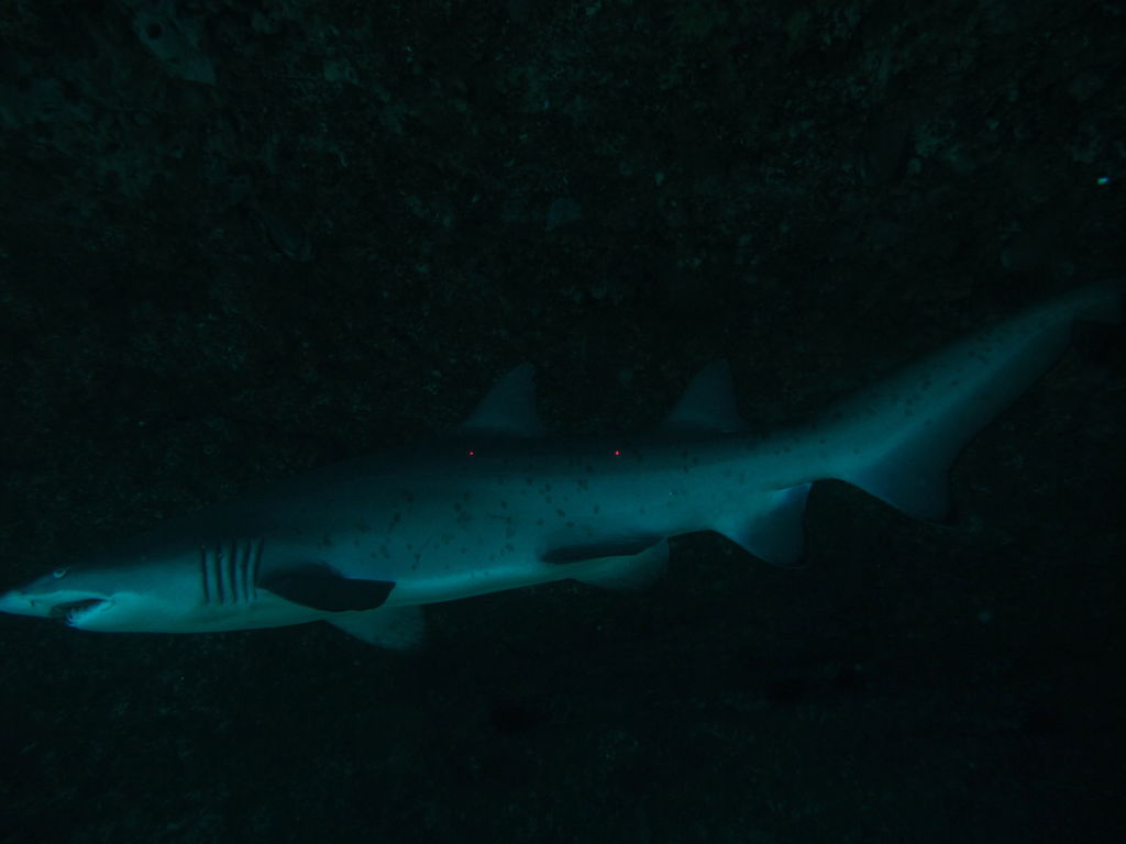 c4bf511c-9291-4548-bfea-ccb341598be0