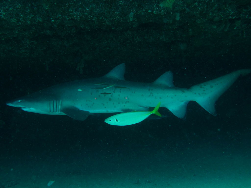 3c1f6ee4-ab2d-4b70-9682-b6b8f7217217