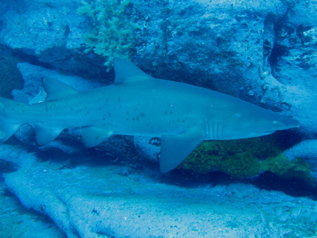 2eedc3f3-fc55-4c5d-9ec1-366b596368d5