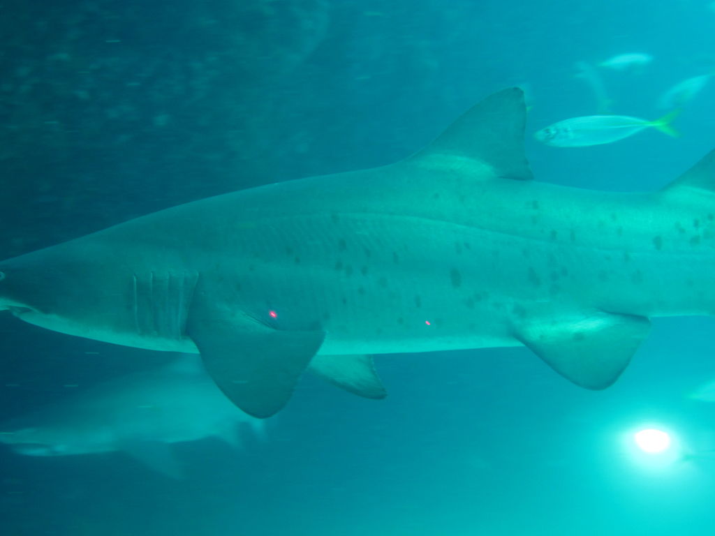 ee9b603b-26c8-4e58-a06c-7a387f5c283d