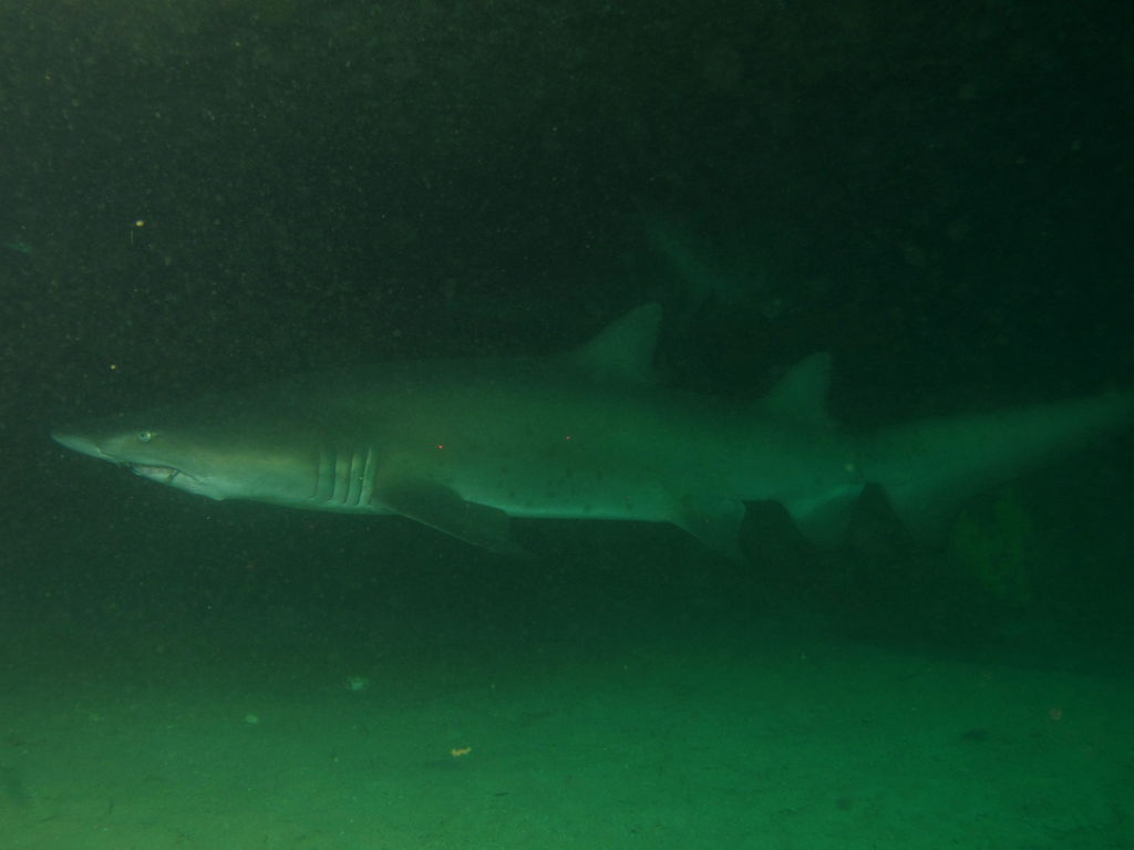 cfab9d1a-e97c-4fba-aec2-86fa77a3f96f