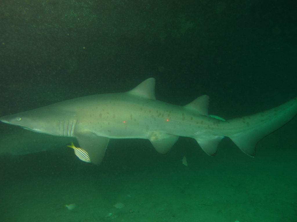 4808ccba-5029-4fdc-9e12-77b33c6268d9