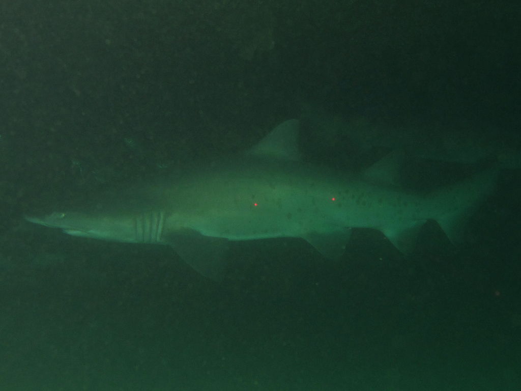 82db6819-686b-47de-926b-597e44b62986