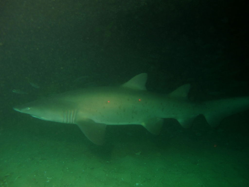 2a6d447e-8634-40f2-a0c8-0cc3d22f2172