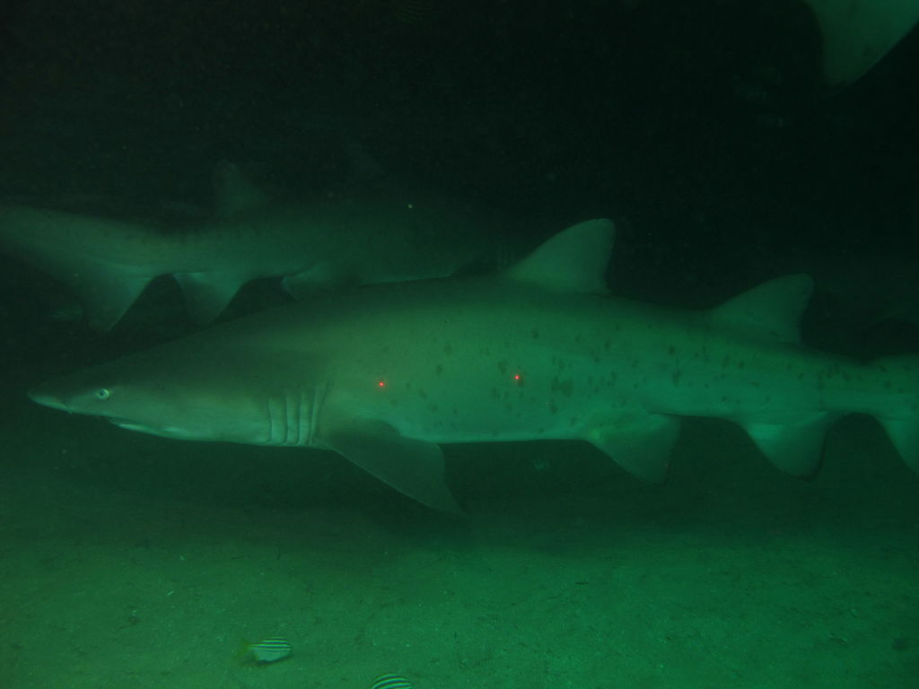 2a6d447e-8634-40f2-a0c8-0cc3d22f2172