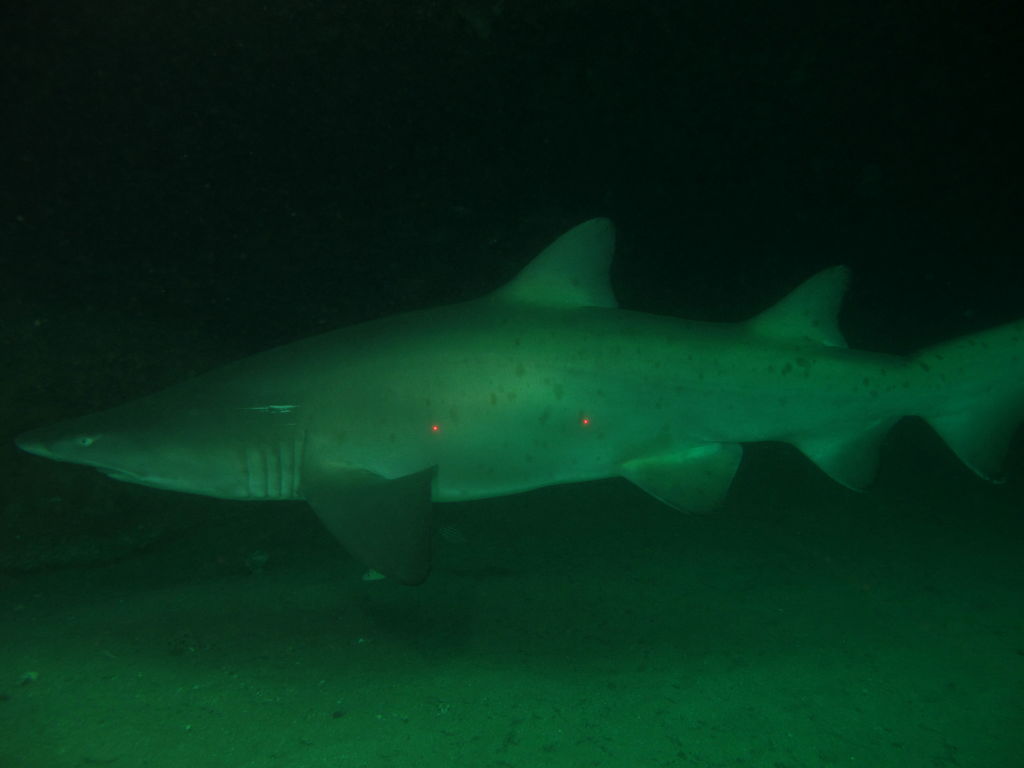 a307d789-5abf-488d-b3bb-40ba9b9c0ab5