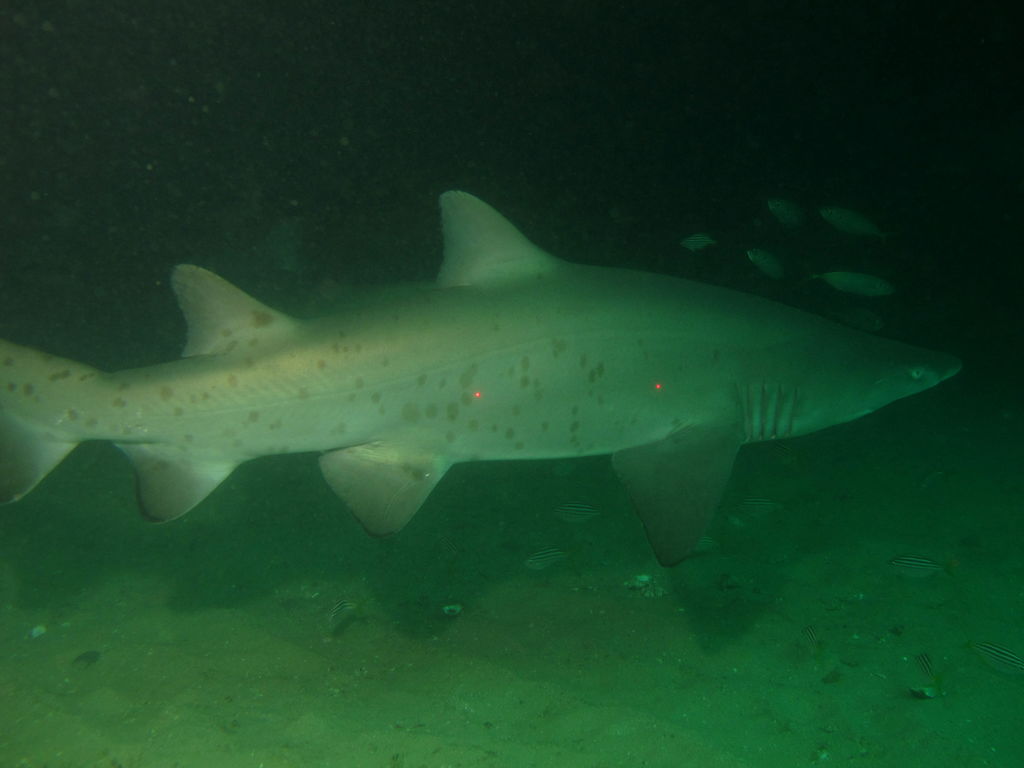 27a75b9d-bdcb-47cd-b62c-d685bc0f831b