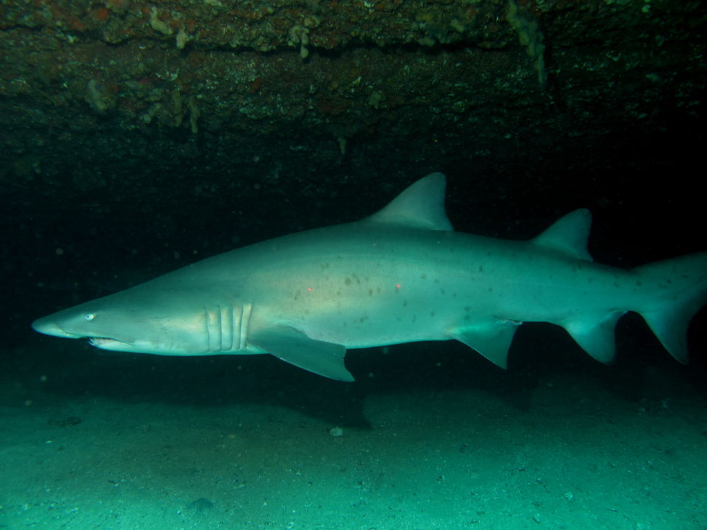 bf176003-3fef-4752-9b6c-fd0b3473abc2