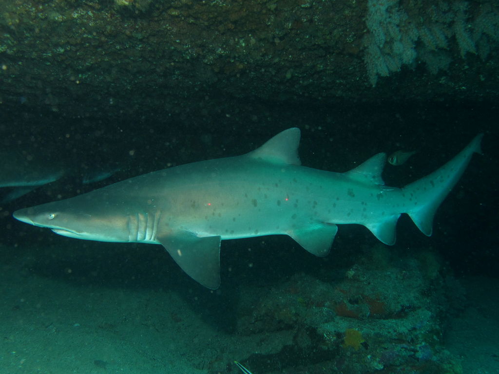 beee9743-b854-476f-9a1d-b028b5b08aa1