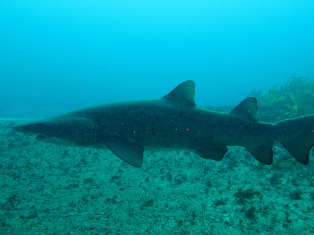 d52c9280-49d9-4acd-aa2a-ed846d2c7476