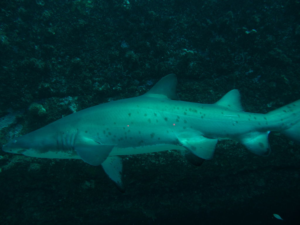 466658db-06a9-4429-aa3b-327b82aebdf8