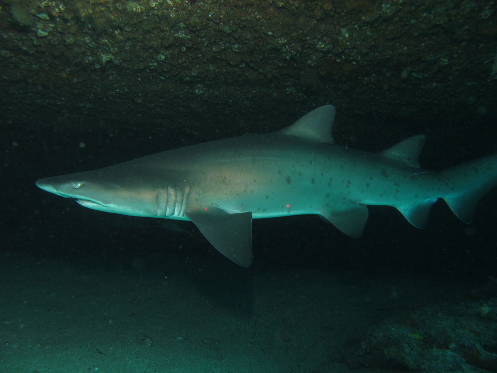 beee9743-b854-476f-9a1d-b028b5b08aa1