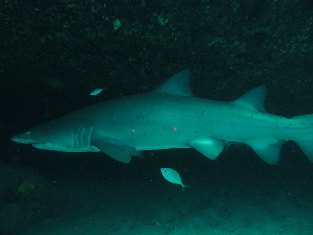 bf176003-3fef-4752-9b6c-fd0b3473abc2