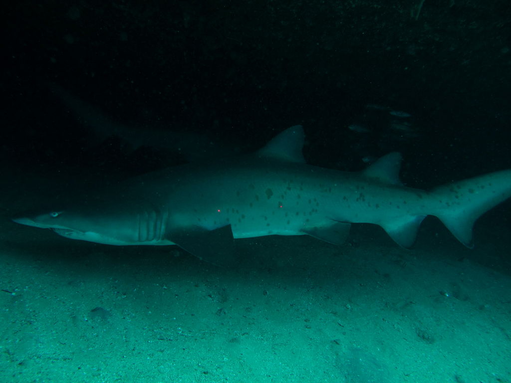 3c1f6ee4-ab2d-4b70-9682-b6b8f7217217