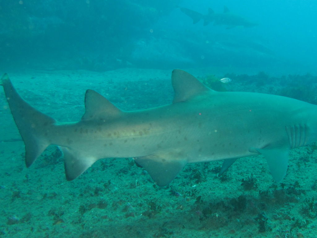 026832fa-2120-4b0f-a498-829b9e29e686