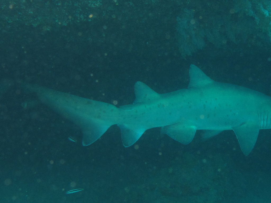 98f2d928-fc5a-4a1d-9291-864df94fc869