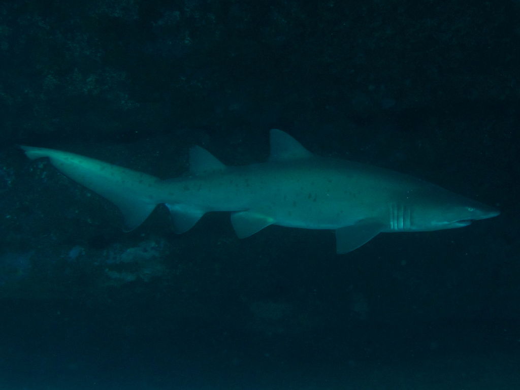 17bcdd5b-f734-46ed-802b-2498ab665a5d