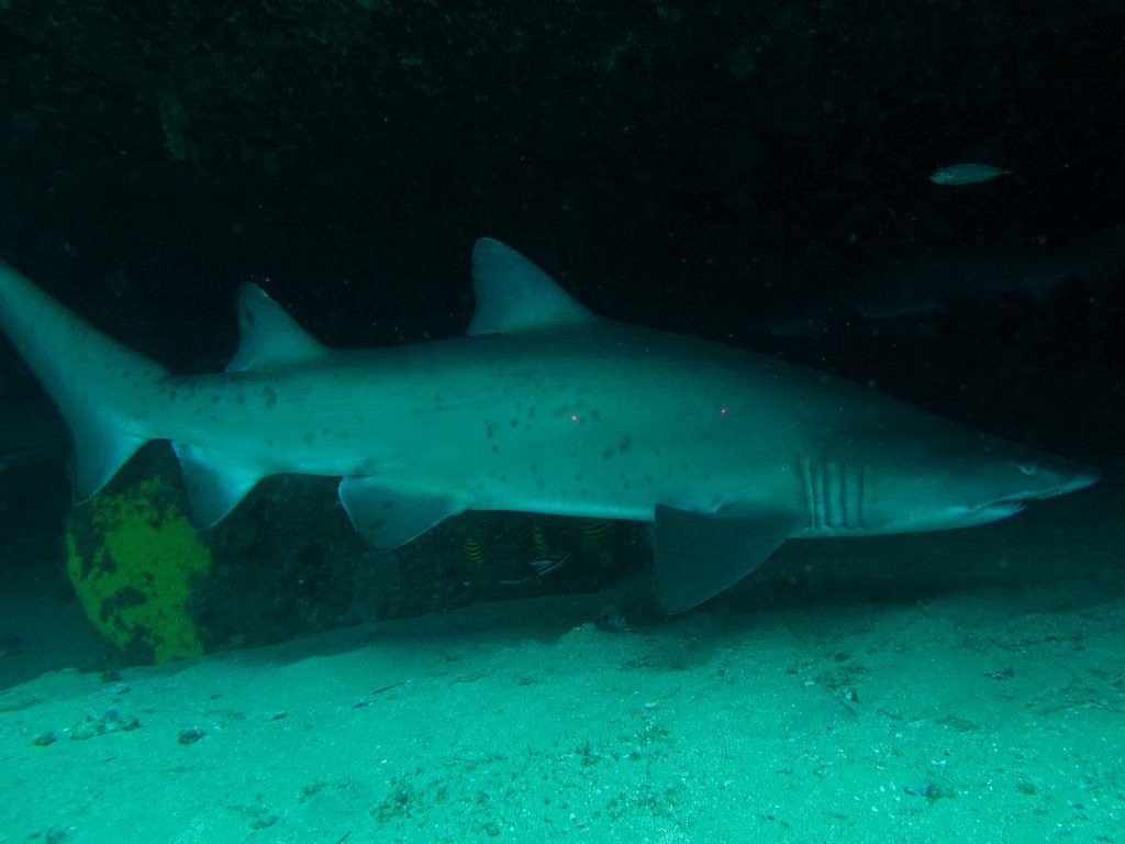 305ce611-1f6d-44f5-9a46-b5534ecc18fd