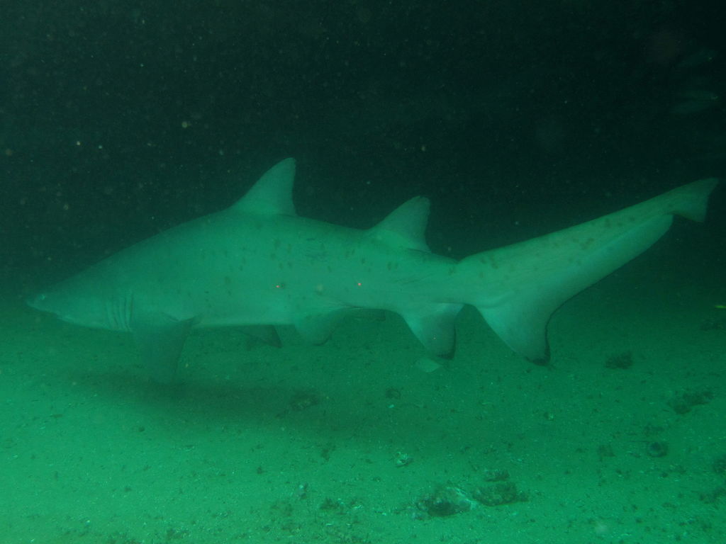 9f74abb2-aba2-4639-bde6-15637646969d