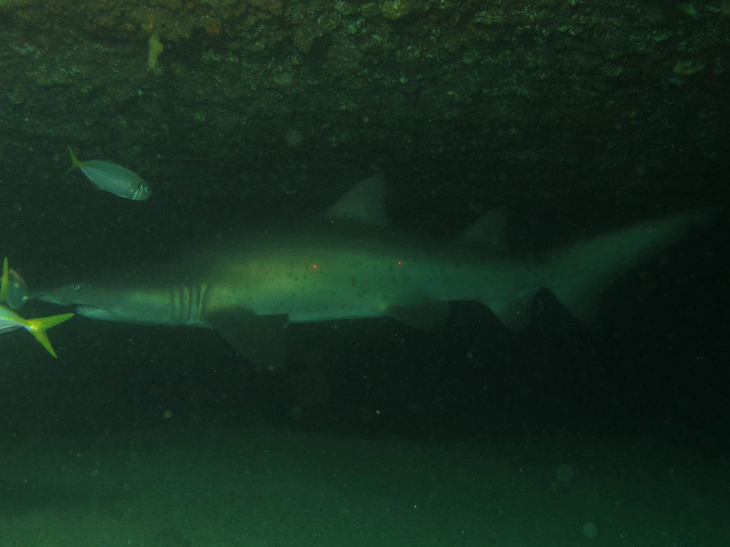 ee9b603b-26c8-4e58-a06c-7a387f5c283d