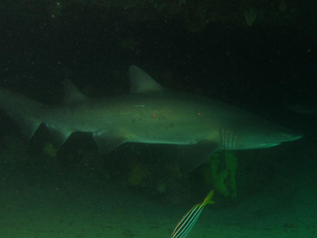 305ce611-1f6d-44f5-9a46-b5534ecc18fd