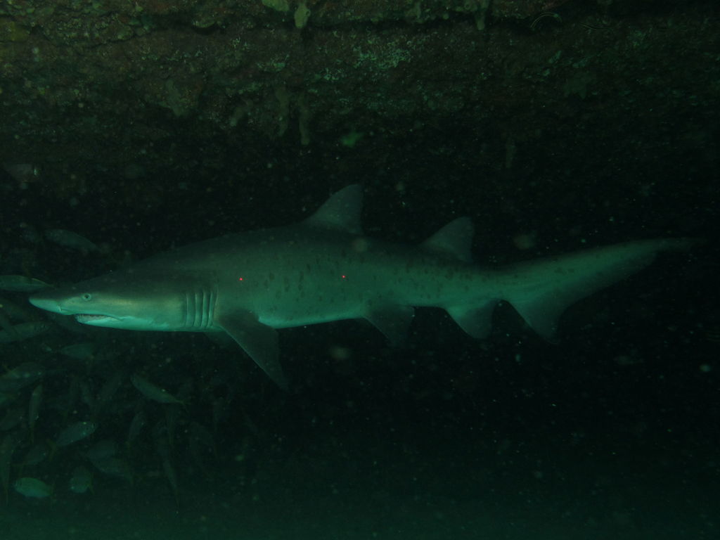 d52c9280-49d9-4acd-aa2a-ed846d2c7476