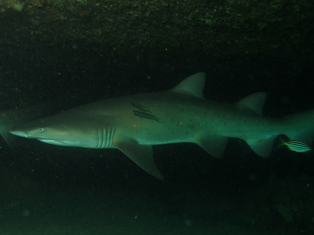 2a6d447e-8634-40f2-a0c8-0cc3d22f2172