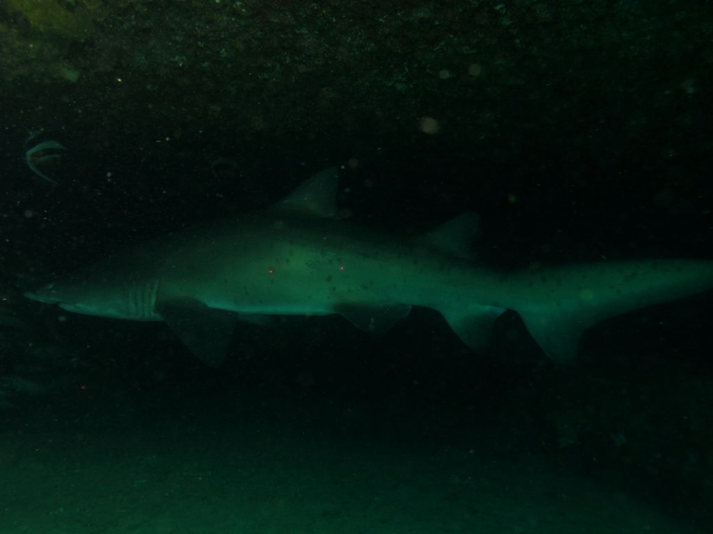 9f74abb2-aba2-4639-bde6-15637646969d