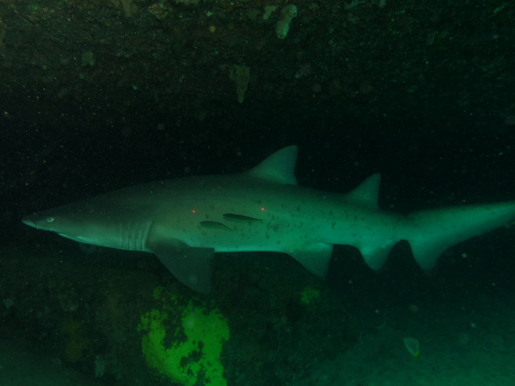 2a6d447e-8634-40f2-a0c8-0cc3d22f2172