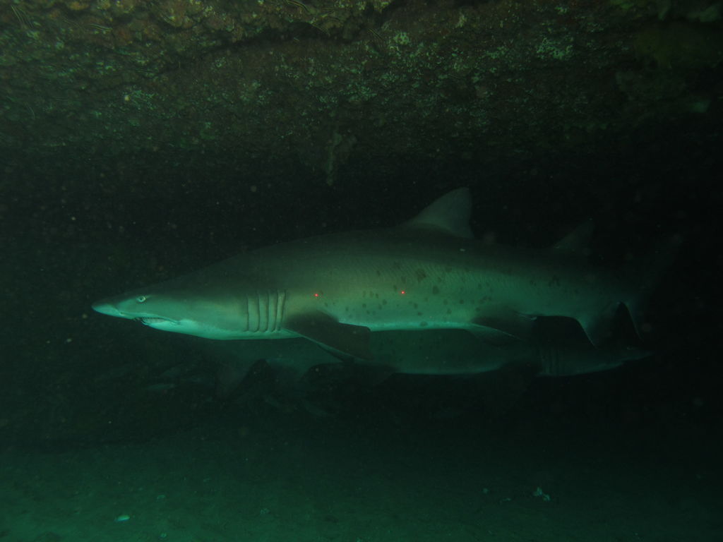 3c1f6ee4-ab2d-4b70-9682-b6b8f7217217